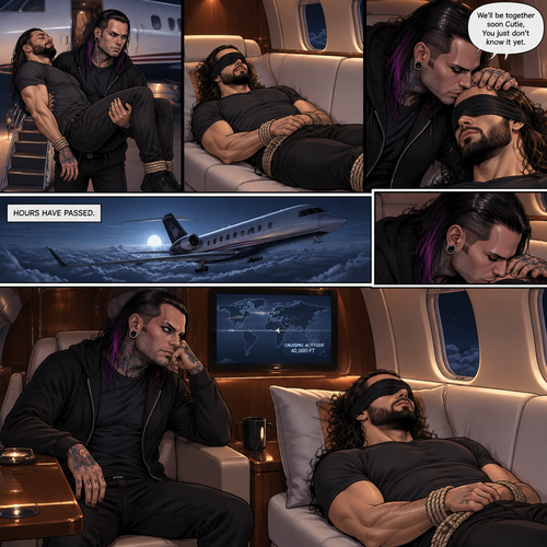 (Previously) The nefarious Jeff Hardy carried the unconscious Seth Rollins (A secret agent) to a private plane after arriving at the airstrip,He put him down on the sofa in the plane,He tied Seth’s wrists and Ankles with rope and then blindfolded him,The plane took off,Jeff gently stroked Seth’s head and whispered “We’ll be together soon Cutie,You just don’t know it yet”,He then gently kissed Seth’s forehead. (And now part 3). Hours have passed. Seth was still unconscious. Jeff was looking at him